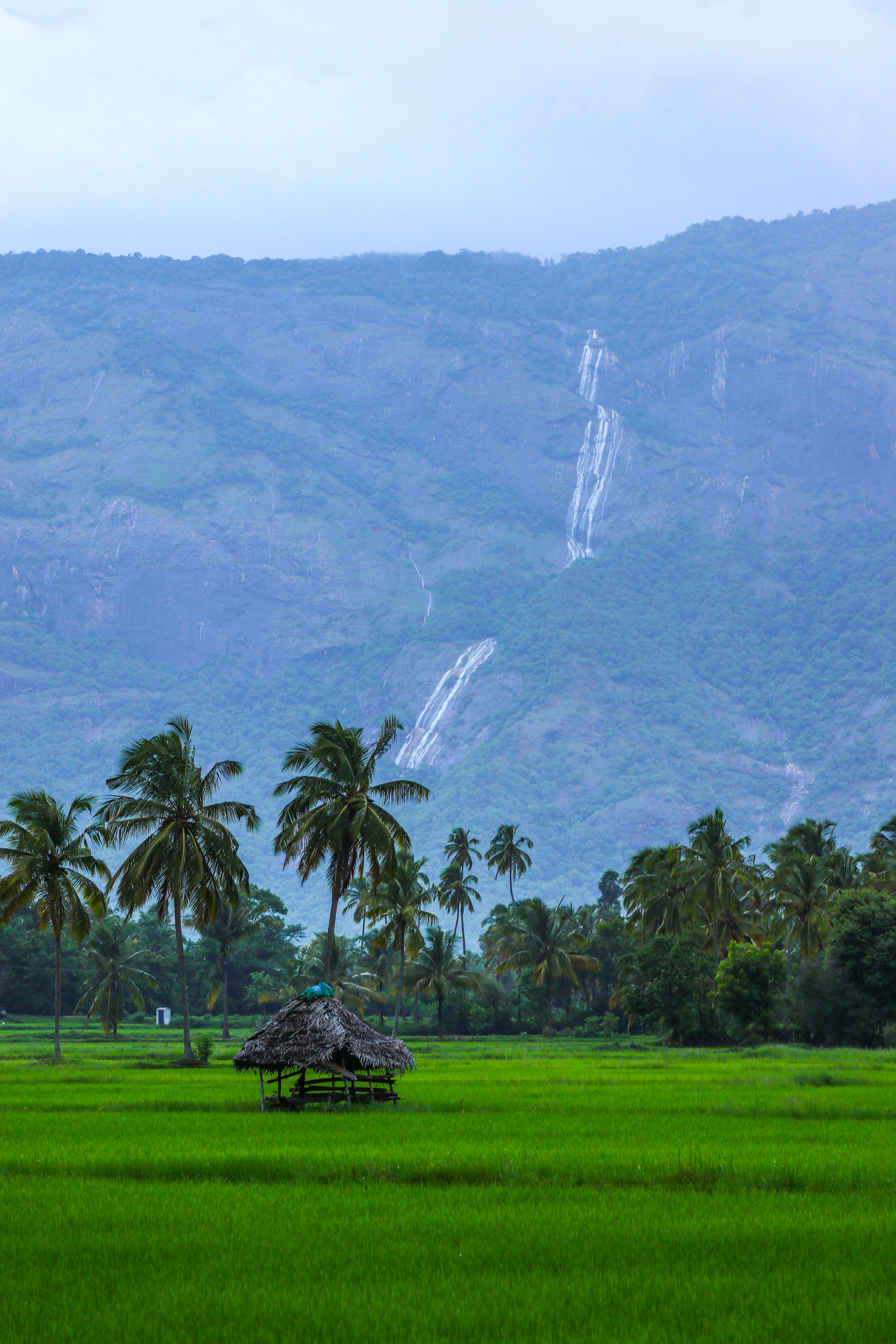 Kerala Image